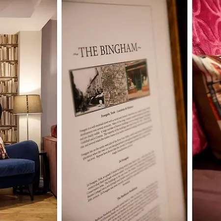 The Bingham